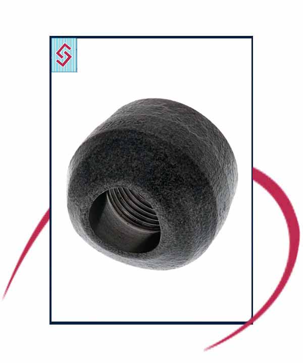 Carbon Steel Threaded Outlets