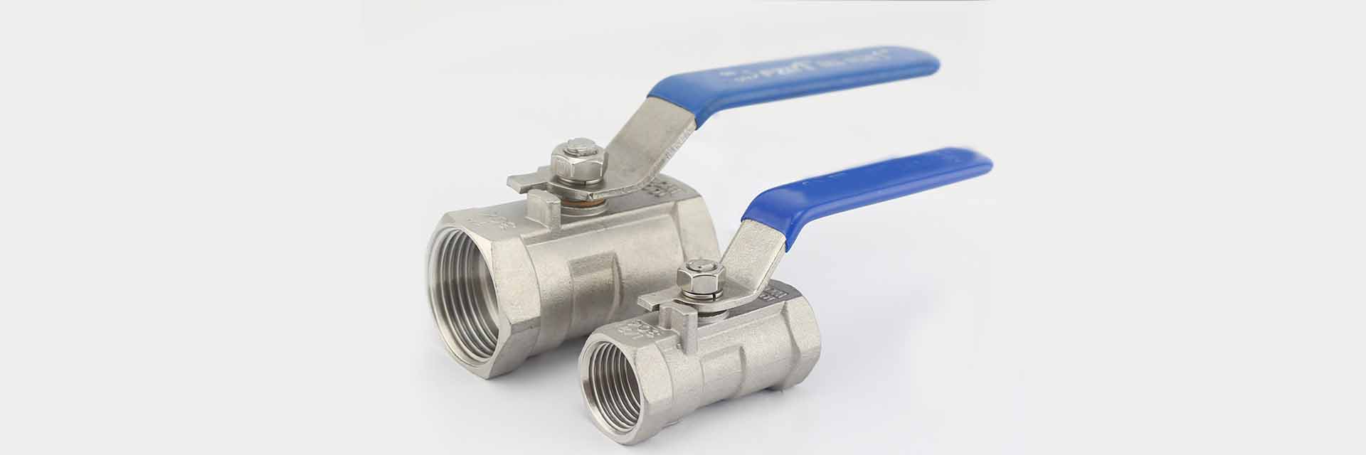 Stainless Steel 2 Way Ball Valves