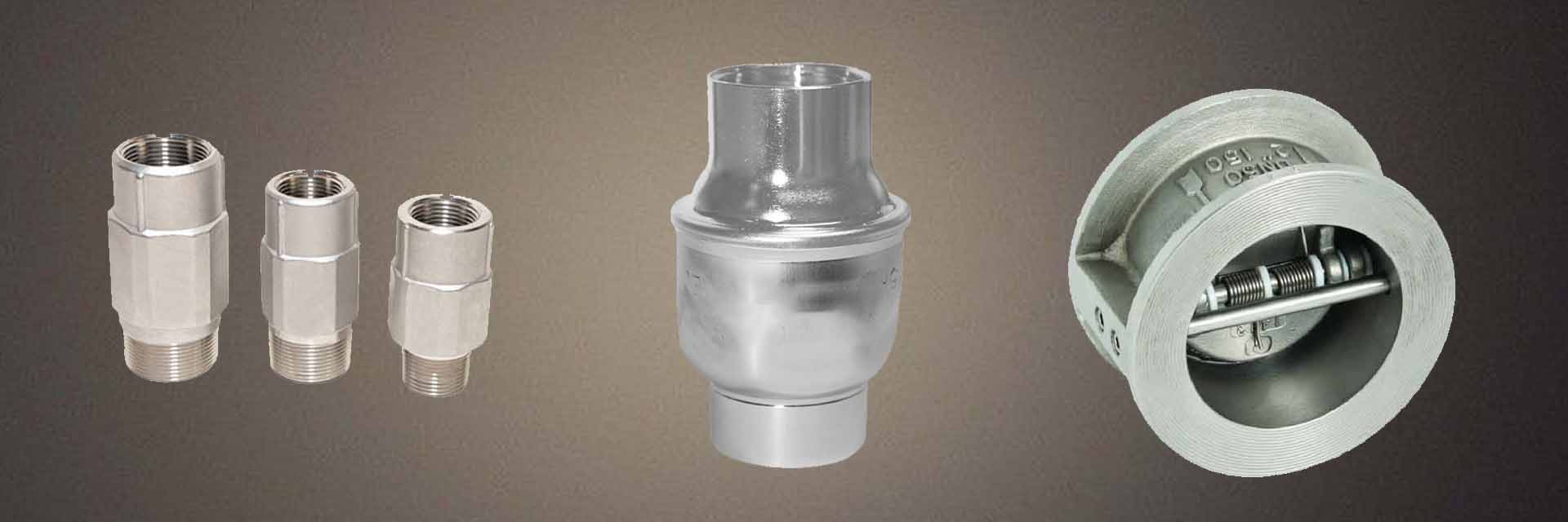 Stainless Steel Instrumentation Check Valve