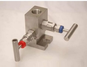Stainless Steel 304 2 Way Manifold Valves